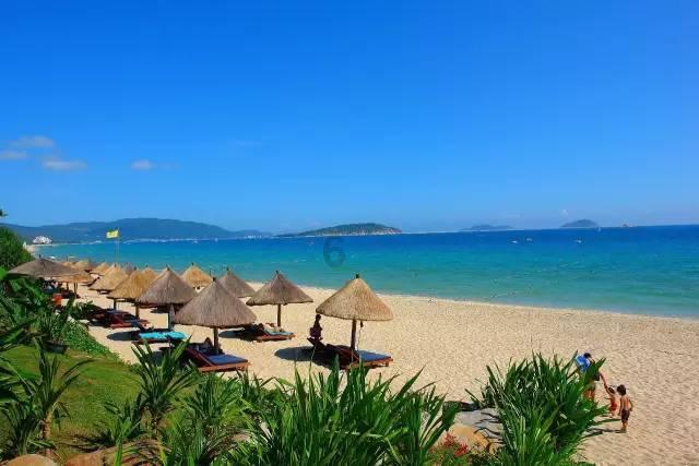 广东中山古镇冈东村：不合常理的低价中标及3200万合法财产被侵占